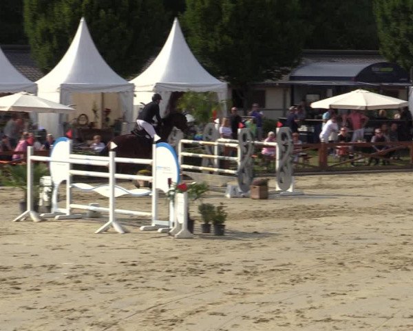 Equus Colonius - Reitanlage Brüse Köln 2021
