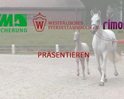 dressage horse Stute von Laureus (Westphalian, 2011, from Laureus NRW)