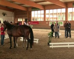 dressage horse Troja (Westphalian, 2014, from Sir Heinrich OLD)