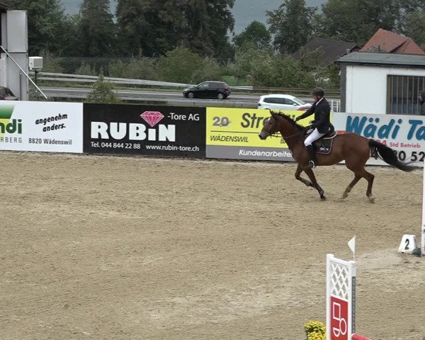 Reitturnier Wädenswil 2020