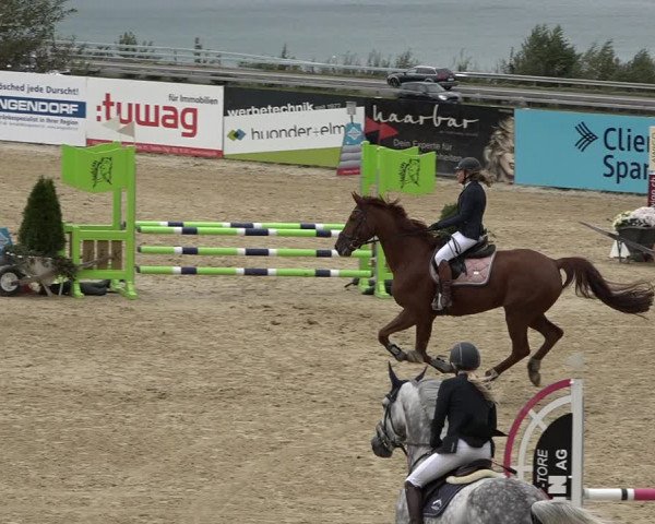 Reitturnier Wädenswil 2020