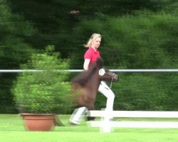 Zuchtstute Isa Bella v.d. Wacholderheide (Shetland Pony (unter 87 cm), 2011, von Isonzo vom Soestblick)