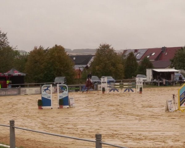 Reitturnier Dingelstädt 2020