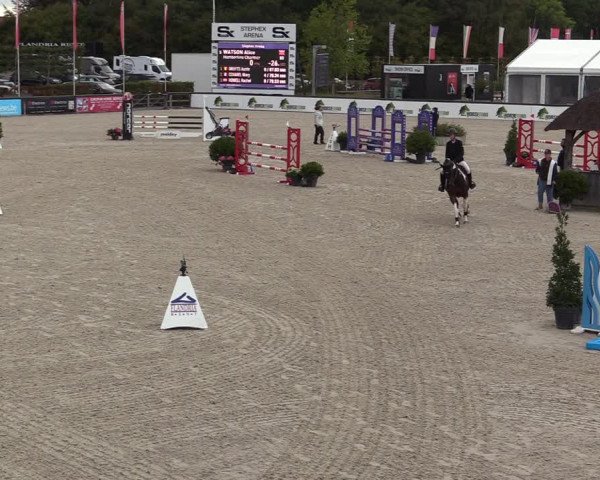 FEI Reitturnier Lier (BEL) 2020