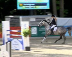 jumper Waldfee (Oldenburg show jumper, 2007, from Coupe de Coeur 2)