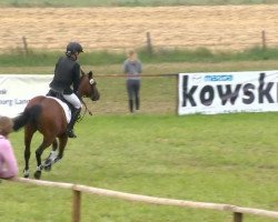 jumper Karlchen 119 (German Riding Pony, 2003, from Kennedy WE)