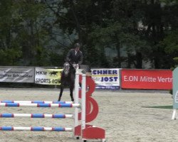 jumper Leocadia 2 (German Warmblood, 2009, from Larengos)