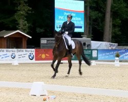 dressage horse Fiderworld (Hanoverian, 2009, from Fidertanz)