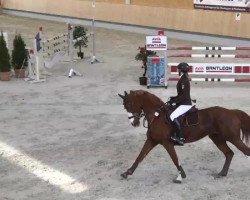 broodmare Neas Nelly Pott (Oldenburg, 2000, from Zapateado 128 FIN)