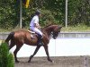 jumper Rihanna 58 (Bavarian, 2008, from Canturo)