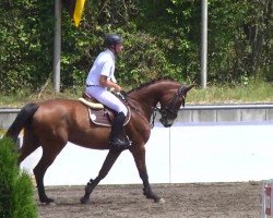 jumper Rihanna 58 (Bavarian, 2008, from Canturo)