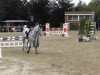 dressage horse Classic Dream (Westphalian, 2009)