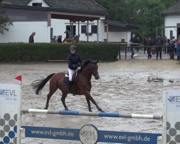 Reitturnier Leverkusen - Teitscheider Hof 2020