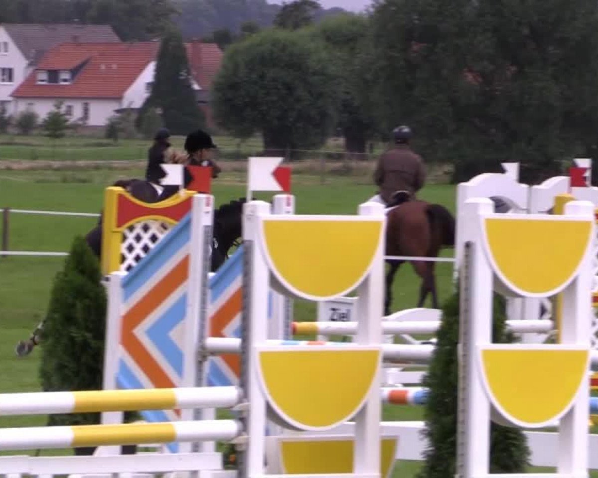 broodmare Carla (Westphalian, 2009, from Cascall)