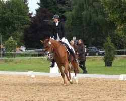 dressage horse Dodge Ram 2 (Hanoverian, 2010, from Desperados FRH)