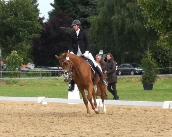 dressage horse Dayna (Hanoverian, 2010, from Dancier)