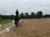 jumper Preußengräfin (Trakehner, 2009, from Linne)