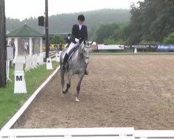 dressage horse Baroness Bonifatia (Hanoverian, 2010, from Bonifatius)