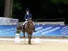 dressage horse Stegstedgards Classic (New Forest Pony, 2003, from Malibu II)