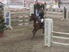 jumper Freixenet 72 (German Riding Pony, 2008, from For Kids Only)