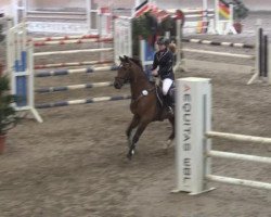 jumper Freixenet 72 (German Riding Pony, 2008, from For Kids Only)