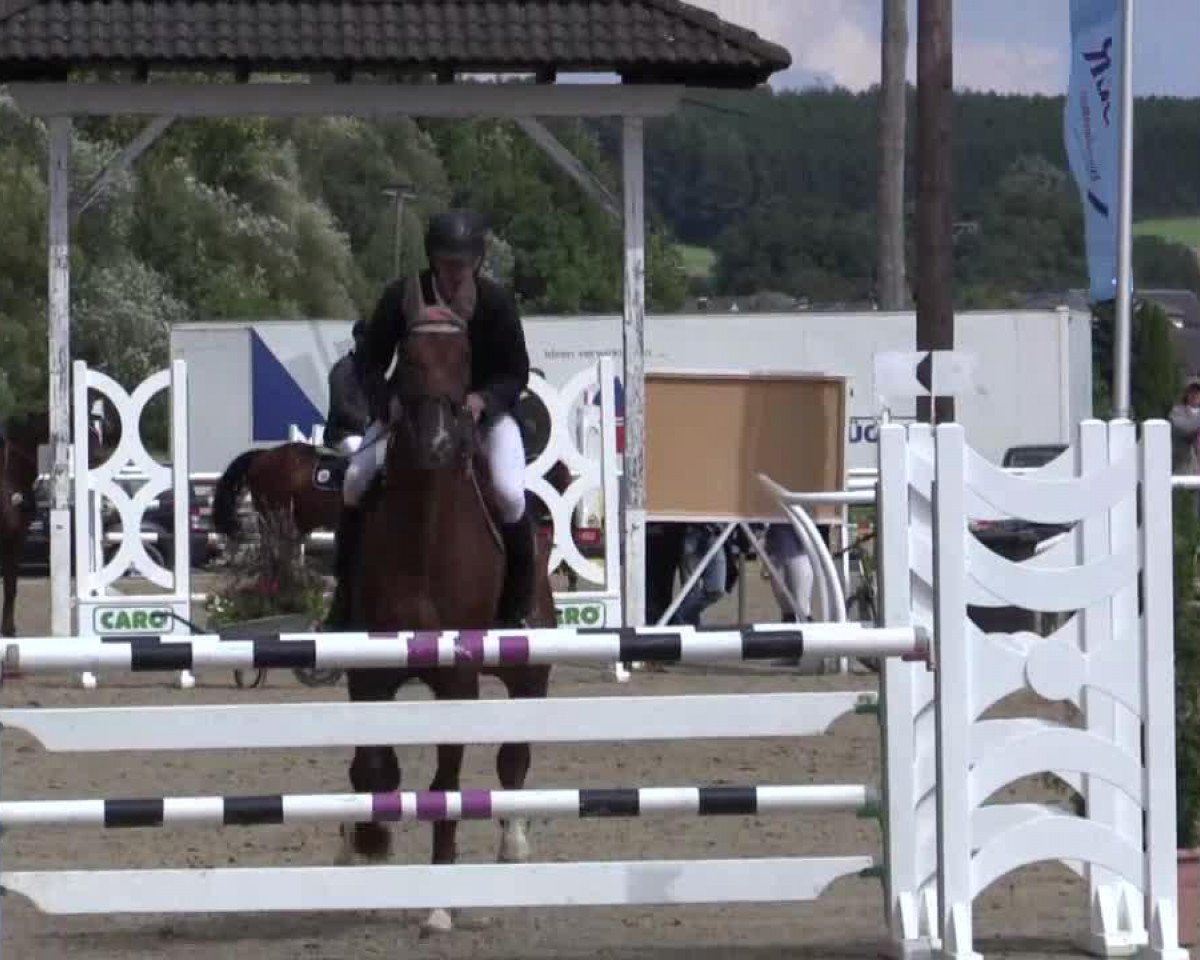 jumper Sinclair 80 (Hanoverian, 2008, from Stolzenberg)