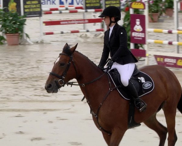Reitturnier Schutterwald 2020