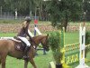 jumper Danny Sahne 3 (German Riding Pony, 2009, from Dancing Fox 2)