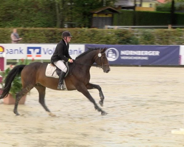 Reitturnier Schutterwald 2020