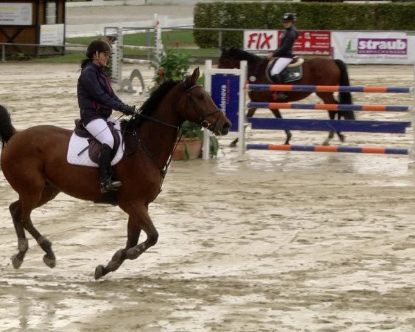 Reitturnier Schutterwald 2020