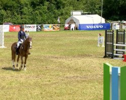 dressage horse Casanova (German Riding Pony, 2007, from FS Chicago)