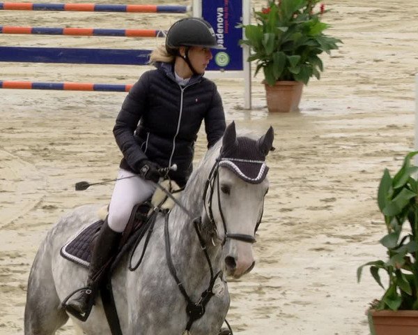 Reitturnier Schutterwald 2020