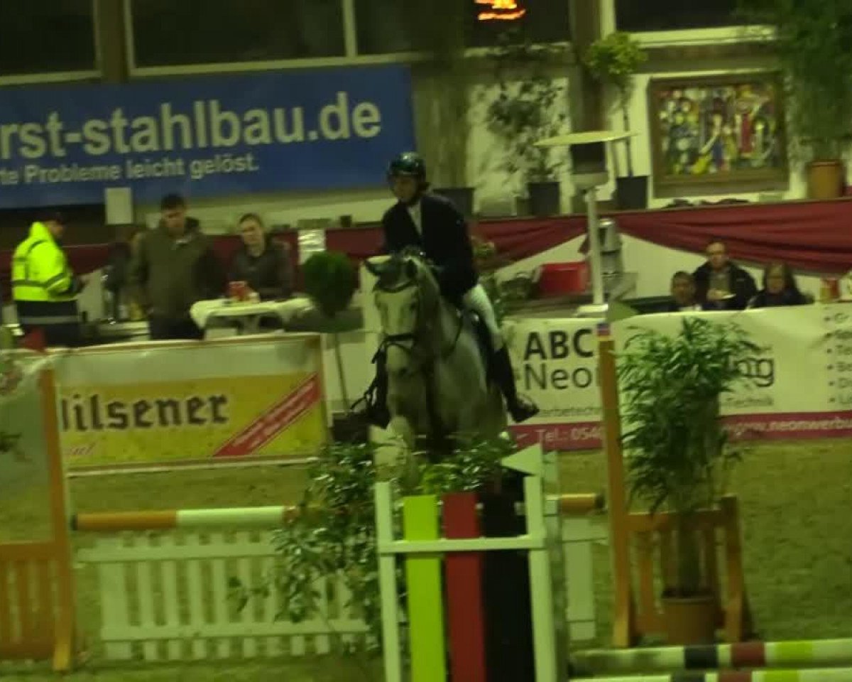 jumper El Contador RV (KWPN (Royal Dutch Sporthorse), 2009, from Contador)