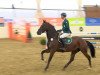 jumper Trust Me (Oldenburg show jumper, 2006, from Conterno Grande)