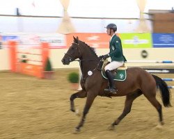 jumper Trust Me (Oldenburg show jumper, 2006, from Conterno Grande)