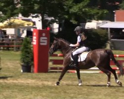 Dressurpferd Tabita 6 (Belgisches Warmblut, 2004)