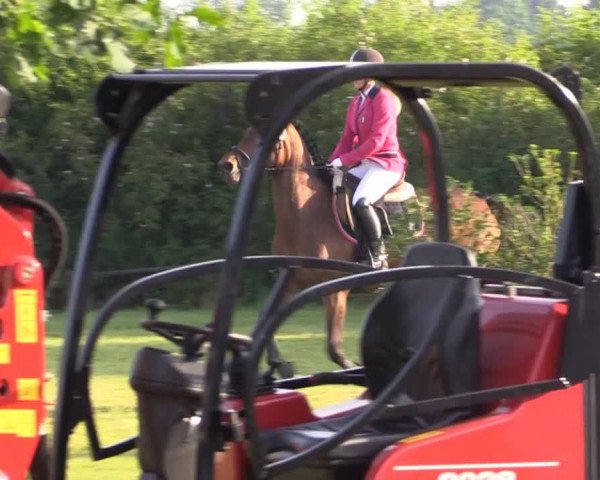 jumper Fräulein Flauschig 2 (German Riding Pony, 2007, from New Classico)