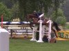 jumper Quambi (Hanoverian, 2010, from Quintender 2)