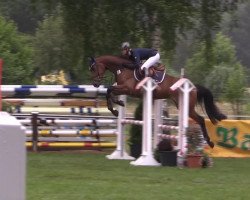 jumper Quambi (Hanoverian, 2010, from Quintender 2)