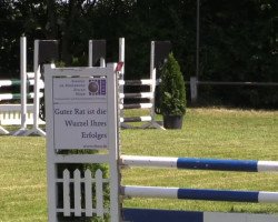 jumper Quentin 104 (Hanoverian, 2009, from FRH Quaid)