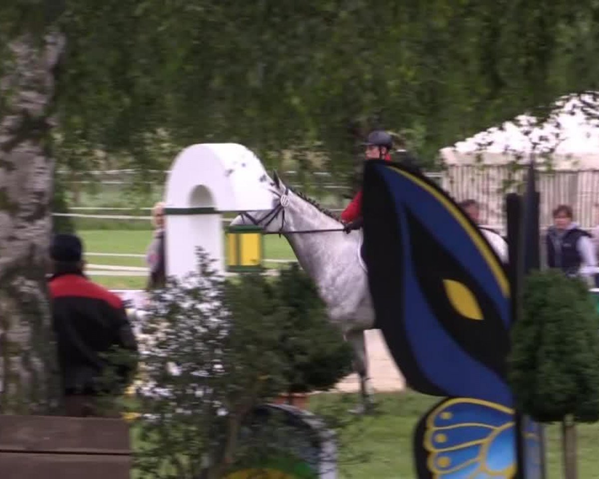 jumper California 105 (Hanoverian, 2010, from Calido I)