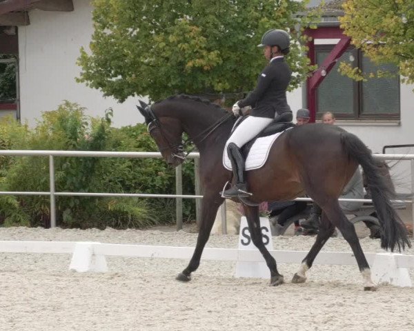 Reitturnier Achern 2020