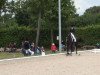 jumper Skyline de Luxe (Hanoverian, 2010)