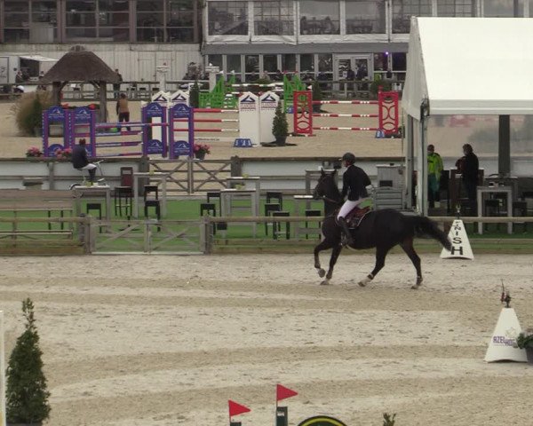 FEI Reitturnier Lier (BEL) 2020