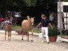 jumper Never say Never (German Riding Pony, 2014, from Fehkamps Nightley)