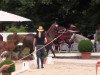 broodmare Darleen AT (German Riding Pony, 2014, from Dreidimensional AT NRW)