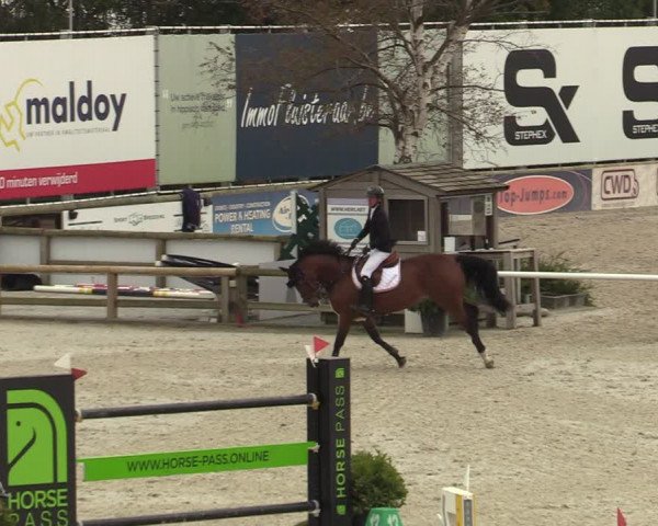 FEI Reitturnier Lier (BEL) 2020