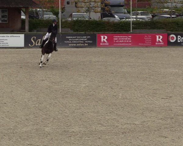 FEI Reitturnier Lier (BEL) 2020