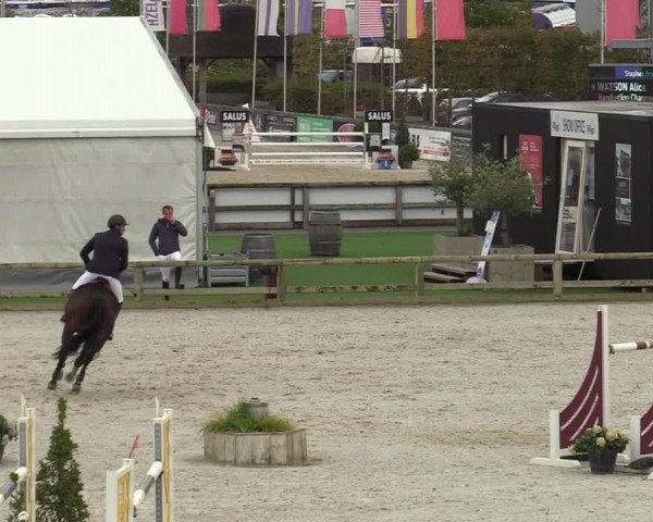 FEI Reitturnier Lier (BEL) 2020