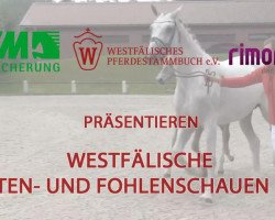 dressage horse Fiorella S 3 (Westphalian, 2014, from For Romance I)